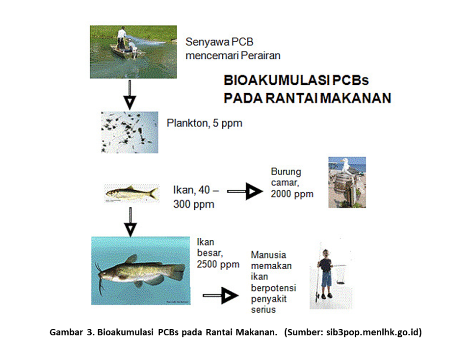 PCBs Aplikasi dan Penyebarannya di Lingkungan 03	